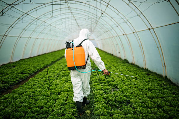 Best Ant Control Services  in Mante, CA