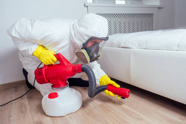 Best Best Pest Control Companies  in Mante, CA