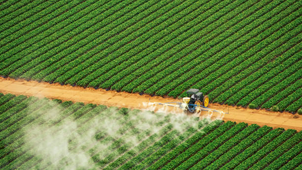 Professional Pest Control in Manteca, CA