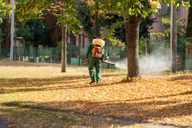 Best Mosquito Control Services  in Mante, CA