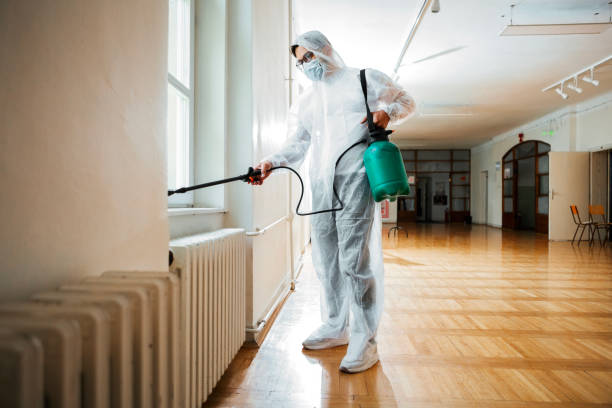 Best Affordable Pest Control Services  in Mante, CA