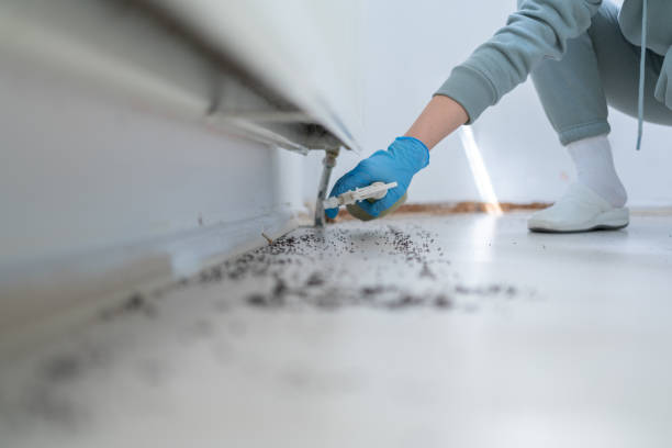 Best Exterminator Services  in Mante, CA
